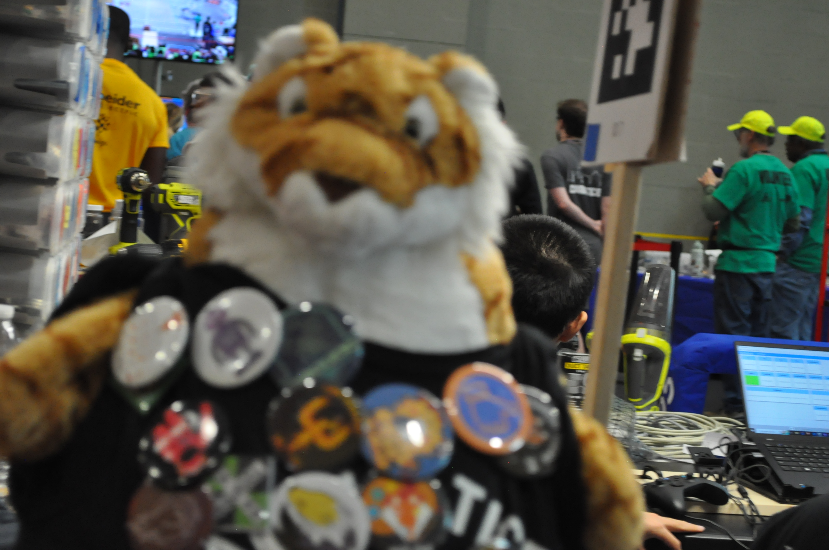 Our Mascot